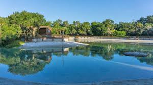 Lithia FL